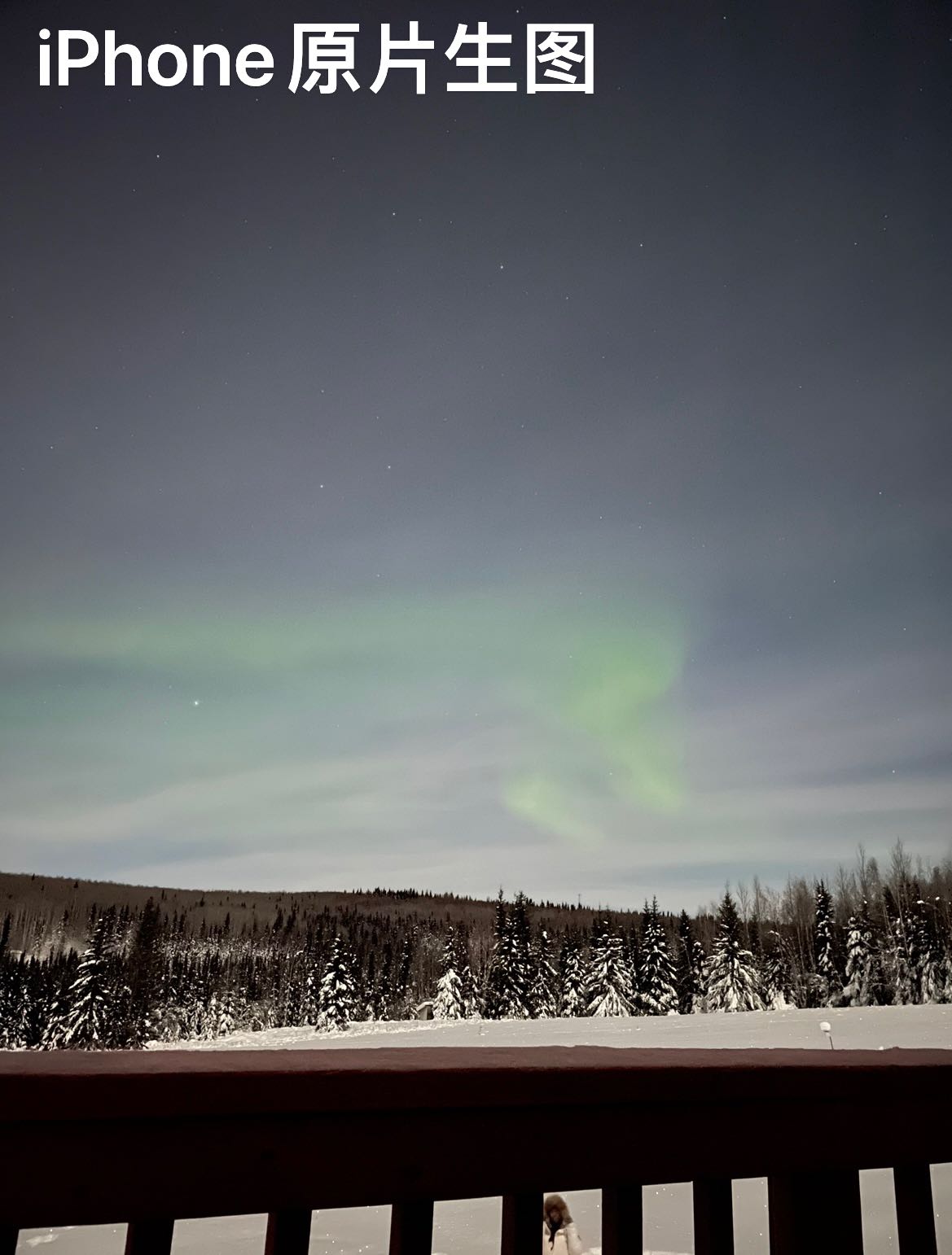 阿拉斯加极光探险指南：最全旅游攻略 + 必知避雷技巧！