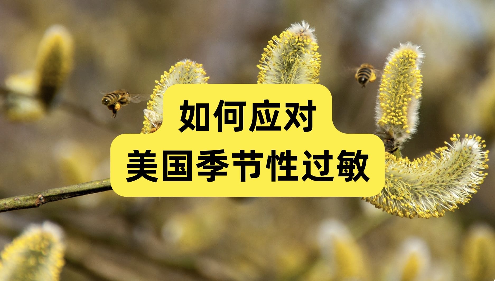 美国季节性过敏：症状、诊断和治疗方法介绍
