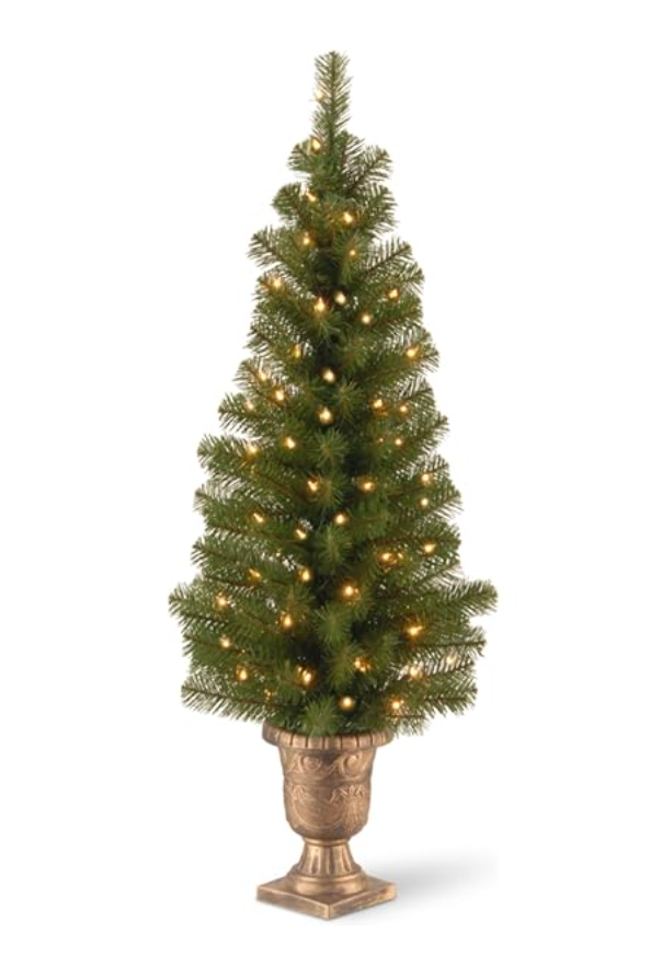 圣诞树选购指南:为家打造圣诞氛围!