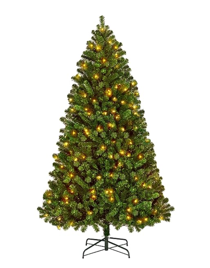 圣诞树选购指南:为家打造圣诞氛围!