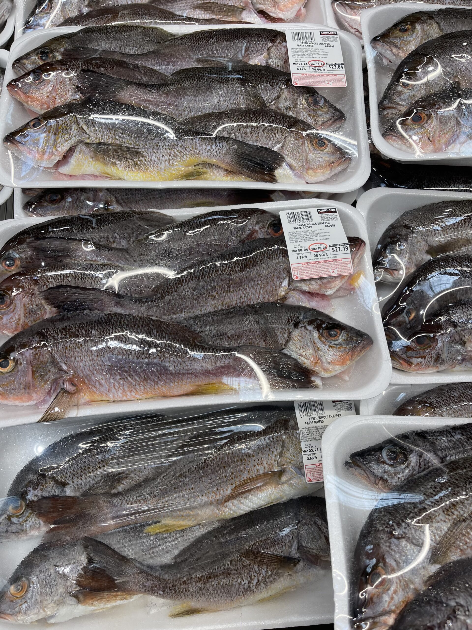 Costco 里面的 6 种鱼都是什么？怎么吃？全解析