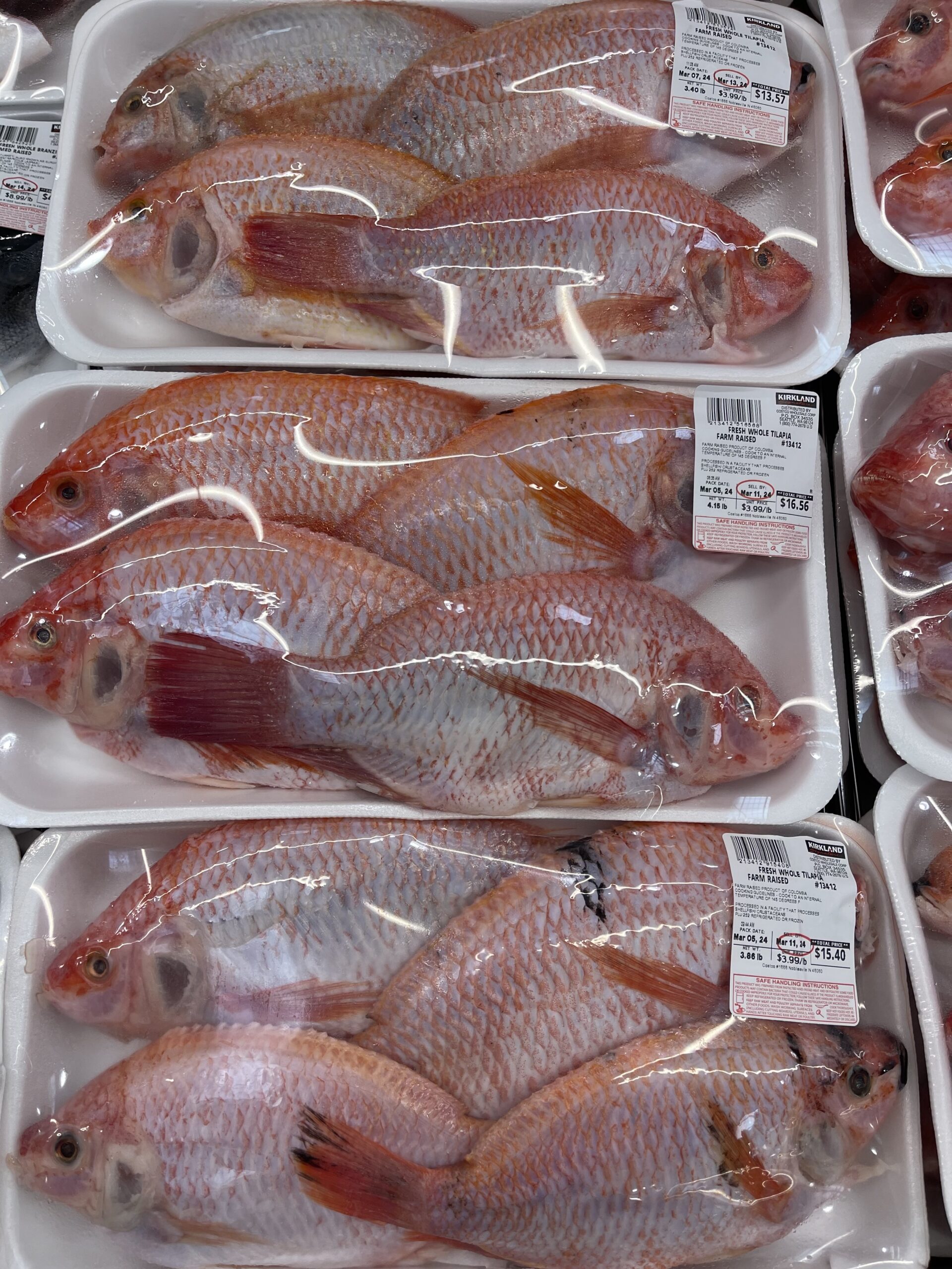 Costco 里面的 6 种鱼都是什么？怎么吃？全解析