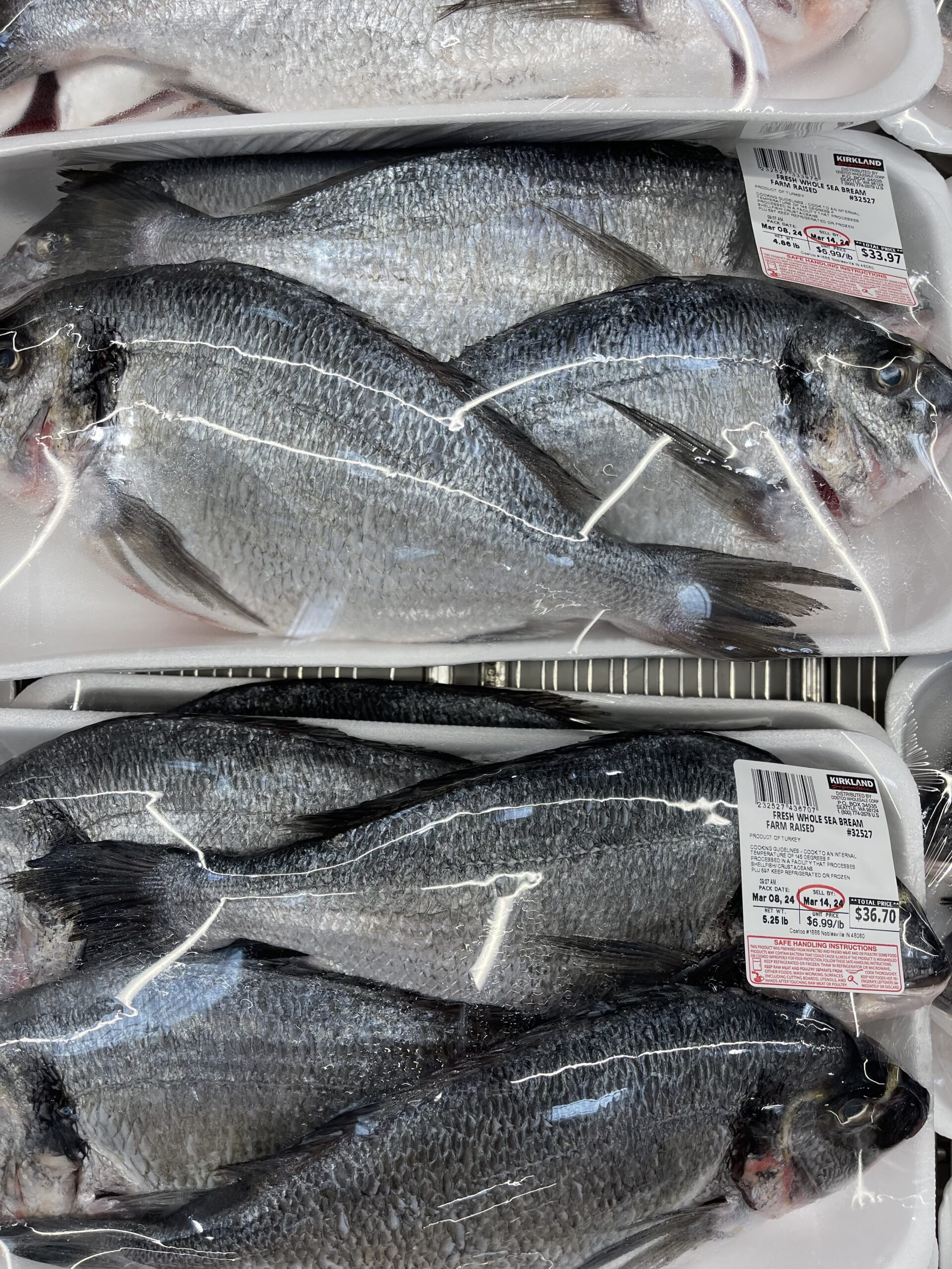 Costco 里面的 6 种鱼都是什么？怎么吃？全解析