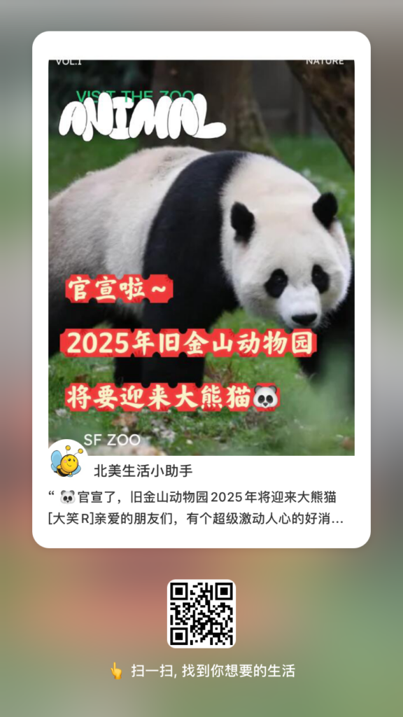 官宣：时隔四十年，旧金山动物园将在 2025 年迎来大熊猫，美国大熊猫，加州大熊猫
